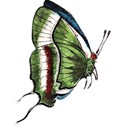 childrensbooks_butterfly