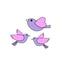 purplebirds2