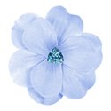 blue flower