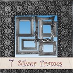 Sumptuous Silver Frames