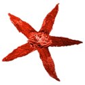 dried-miniflower