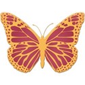 cwJOY-AYearInReview-Colorful-butterfly1