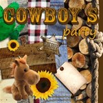 Cowboy s Party