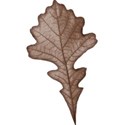 cwJOY-Thankful-leaf2