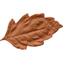 cwJOY-Thankful-leaf6