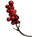cwJOY-TraditionalChristmas-berries3
