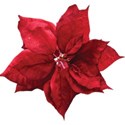cwJOY-TraditionalChristmas-flower5