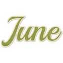 cwJOY-AYear sMemories-Date Set1-June