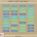 cwJOY-Baby1stYear-Boy-wordbits preview