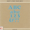 cwJOY-Baby1stYear-Boy-alpha preview