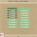 cwJOY-Baby1stYear-Boy-tag preview
