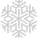 aw_winterblues_snowflake 1