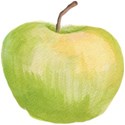 SCD_AppleofmyEye_apple4