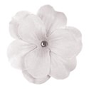 flower white lg