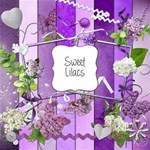 Sweet Lilacs