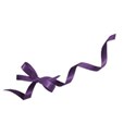 ribbon purple 1