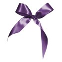 ribbon purple 3