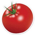 JAM-GrillinOut1-tomato