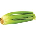 JAM-GrillinOut2-celery