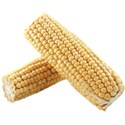 JAM-GrillinOut2-corn1