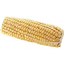 JAM-GrillinOut2-corn2