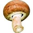 JAM-GrillinOut2-mushroom1