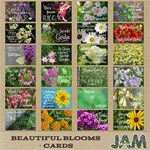 Beautiful Blooms - Filler Cards