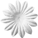 Notsobasic_flower10_by DecaDesigns