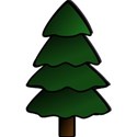 spruce-30277