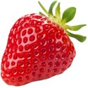 fruit strawberry b