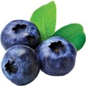 Fruit blue berry b