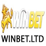 winbetltd