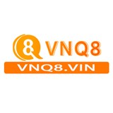 vnq8vin