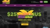 wildjoker