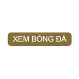 Xem bóng đá