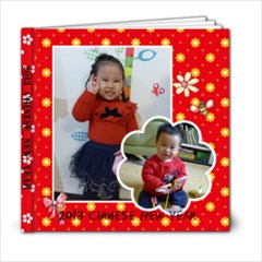 2013 new year - 6x6 Photo Book (20 pages)