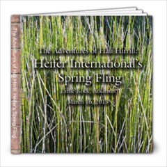 Heifer Spring Fling 8x8 Book - 8x8 Photo Book (20 pages)