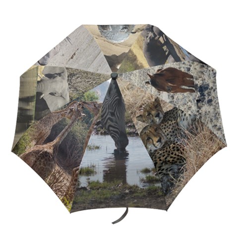 Folding Umbrella 