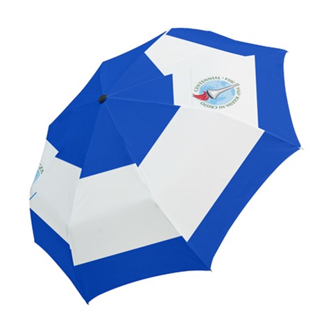 Folding Umbrella 