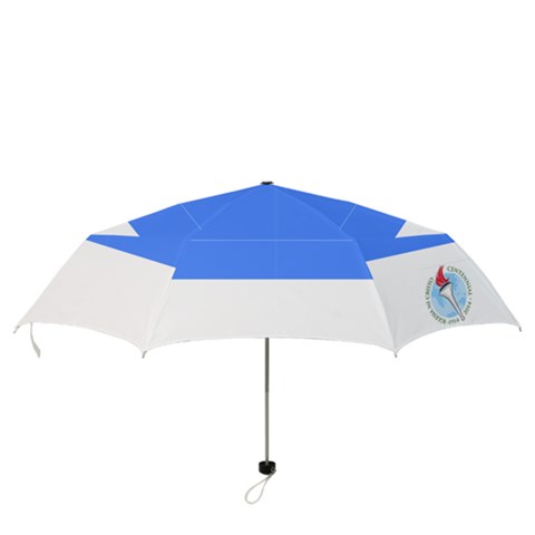 Folding Umbrella 