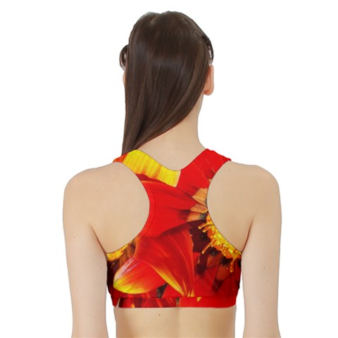 Sports Bra with Border 