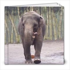 Zoo - 8x8 Photo Book (30 pages)