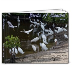 Saniibel 3A1 - 11 x 8.5 Photo Book(20 pages)