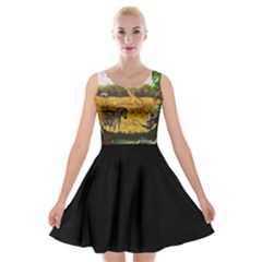 jungle safari  skater dress - Velvet Skater Dress