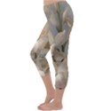 2 Flower Print Design Capri Winter Leggings  View2