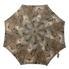 2 Flower Print Design Hook Handle Umbrella (medium) by jmcdesigns