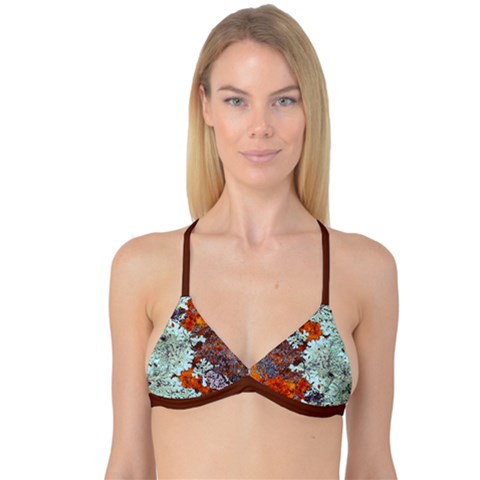 Reversible Tri Bikini Top 