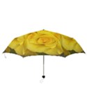 Yellow rose Folding Umbrella View3