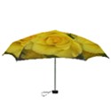 Yellow rose Mini Folding Umbrella View3