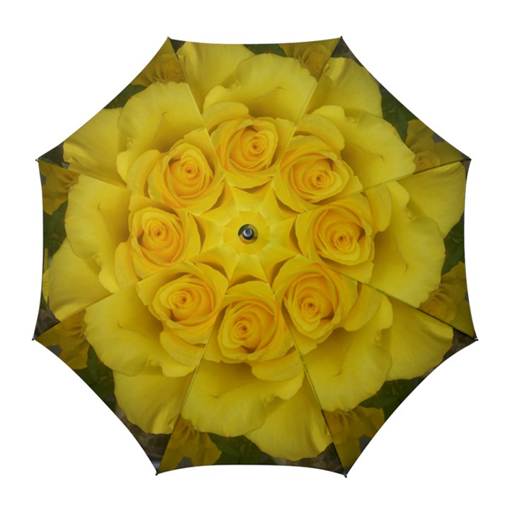 Yellow rose Golf Umbrella